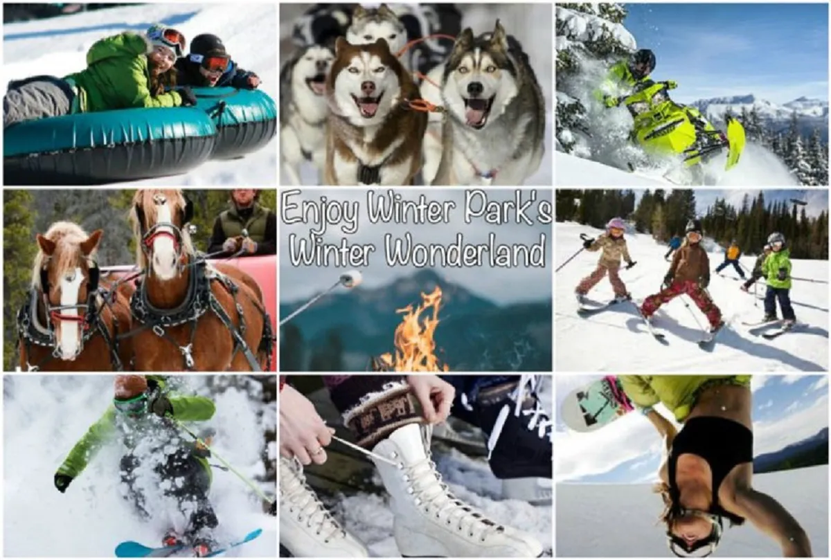 A vibrant winter scene showcasing families and friends enjoying snow tubing, dog sledding with husky teams, snowboarding, and cozy moments around a fire pit. This action-packed image conveys the wide array of exclusive and family-friendly winter activities accessible to guests.